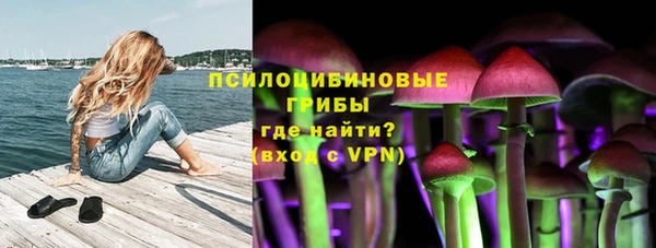 герыч Алексин