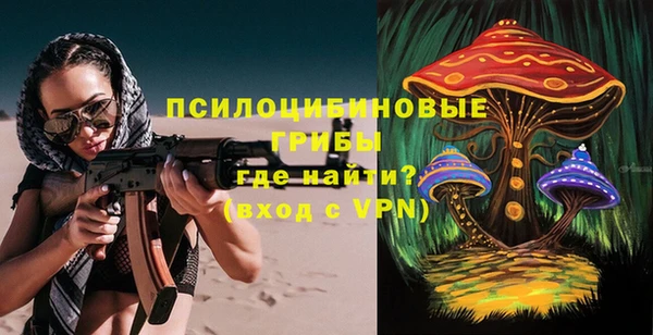 герыч Алексин