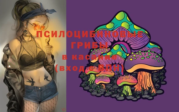 герыч Алексин