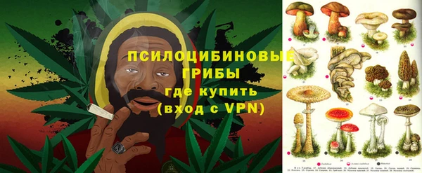 герыч Алексин