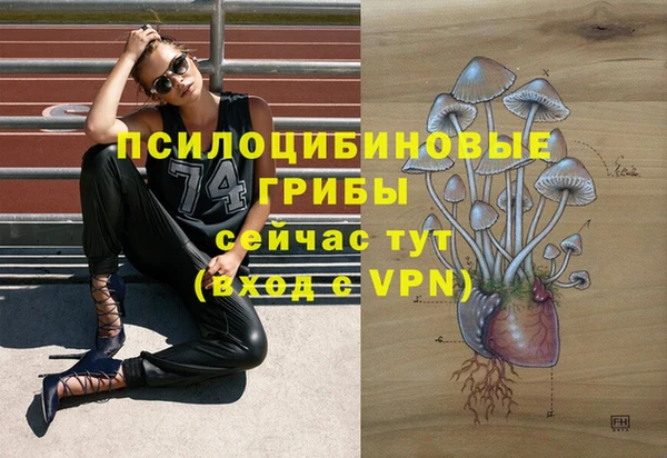 герыч Алексин