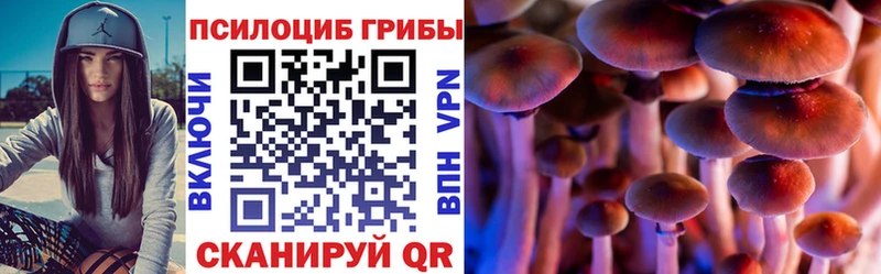 Псилоцибиновые грибы мухоморы  магазин продажи   Мещовск 